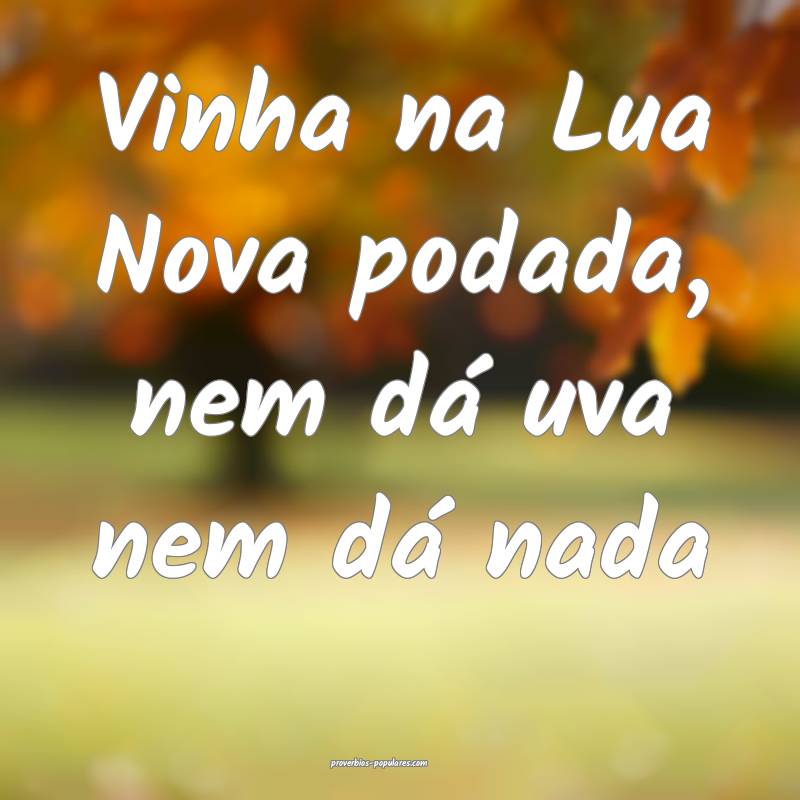 Vinha na Lua Nova podada, nem dá uva nem dá nada ...