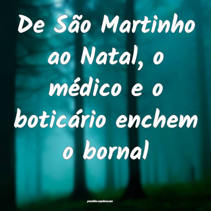 De São Martinho ao Natal, o médico e o boticário enchem o bornal...