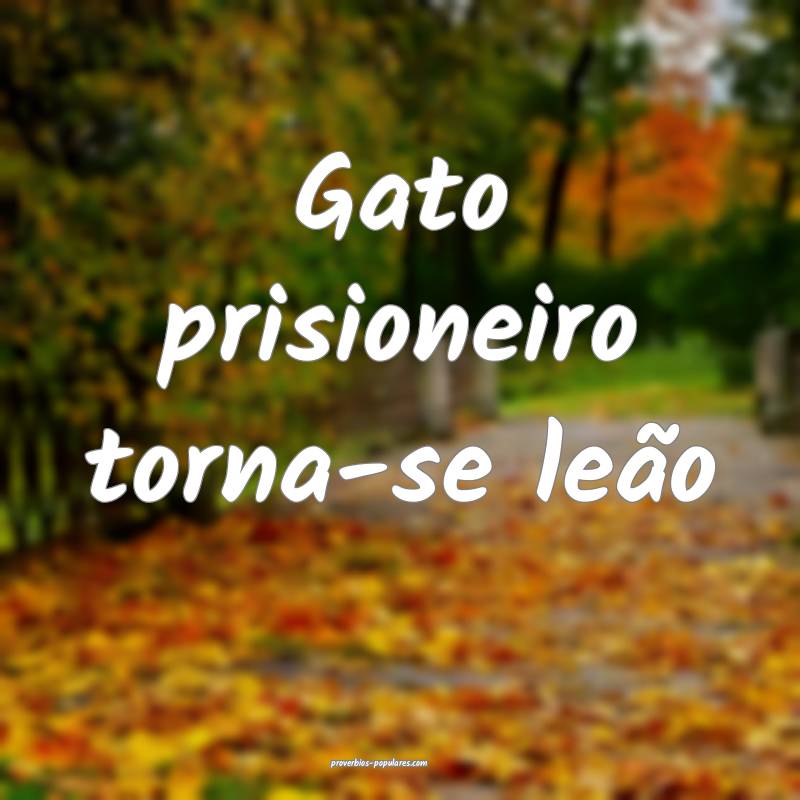 Gato prisioneiro torna-se leão ...