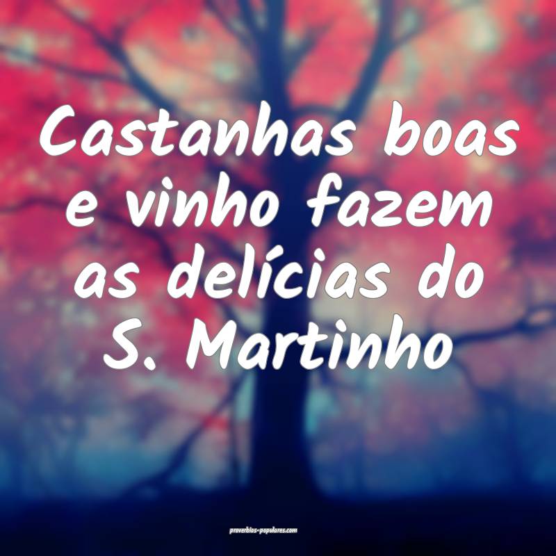 Castanhas boas e vinho fazem as delícias do S. Ma ...