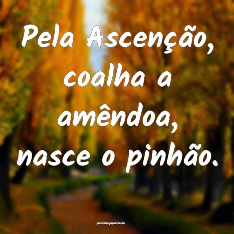 Pela Ascenção, coalha a amêndoa, nasce o pinhã ...