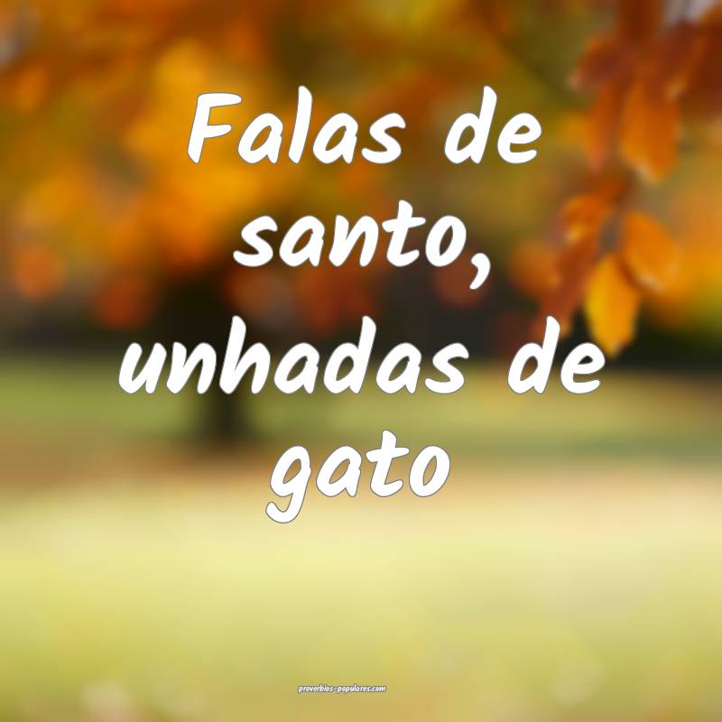 Falas de santo, unhadas de gato...
