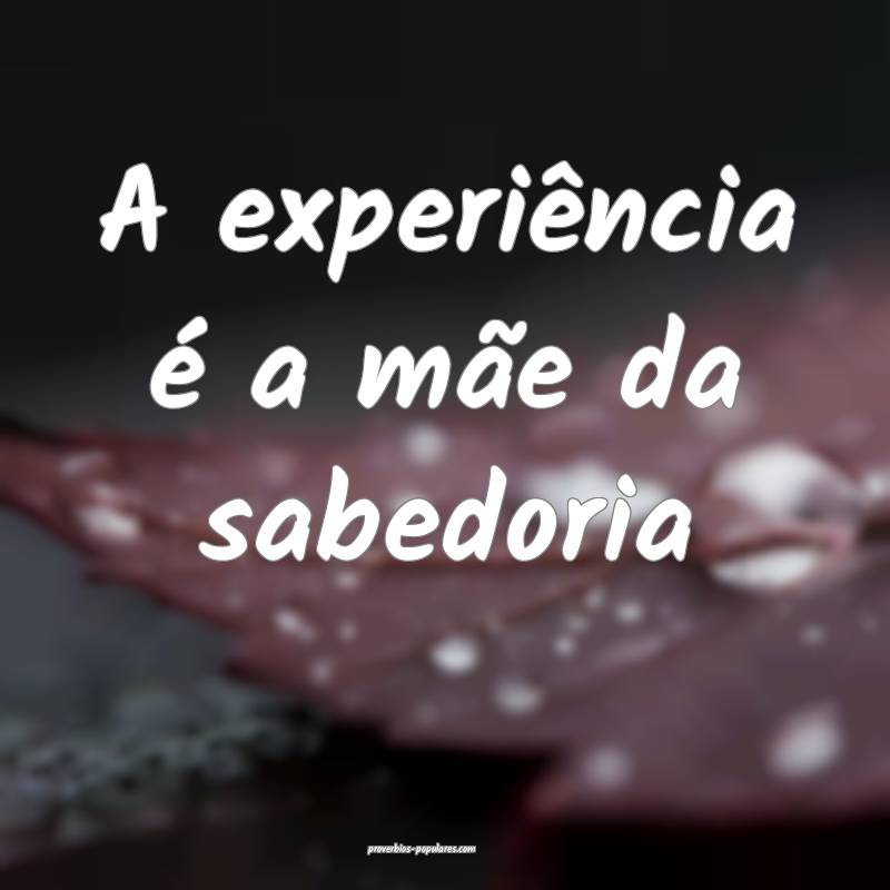 A experiência é a mãe da sabedoria ...