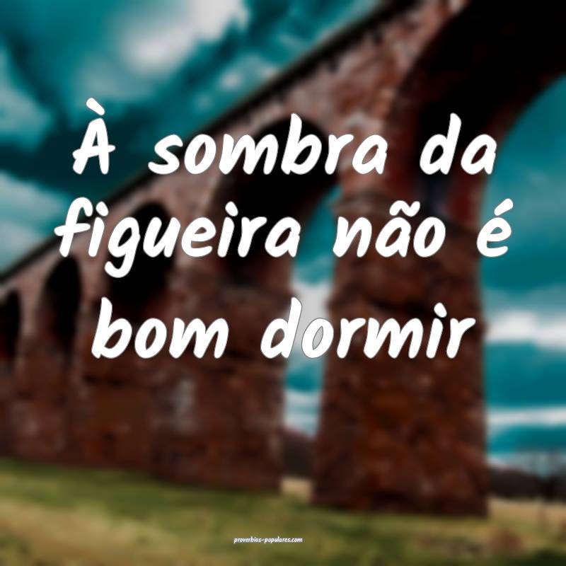 À sombra da figueira não é bom dormir ...
