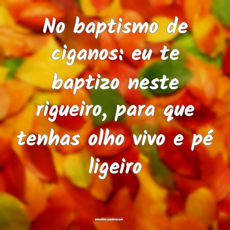 No baptismo de ciganos: eu te baptizo neste rigueiro, para que tenhas ...