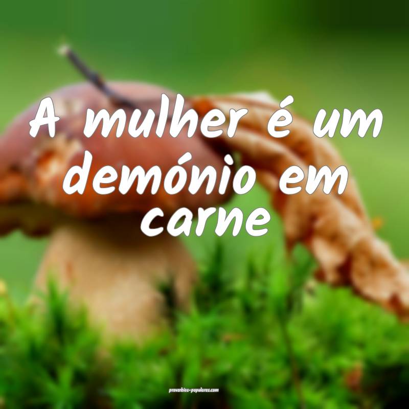 A mulher é um demónio em carne...