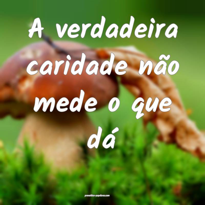 A verdadeira caridade não mede o que dá...