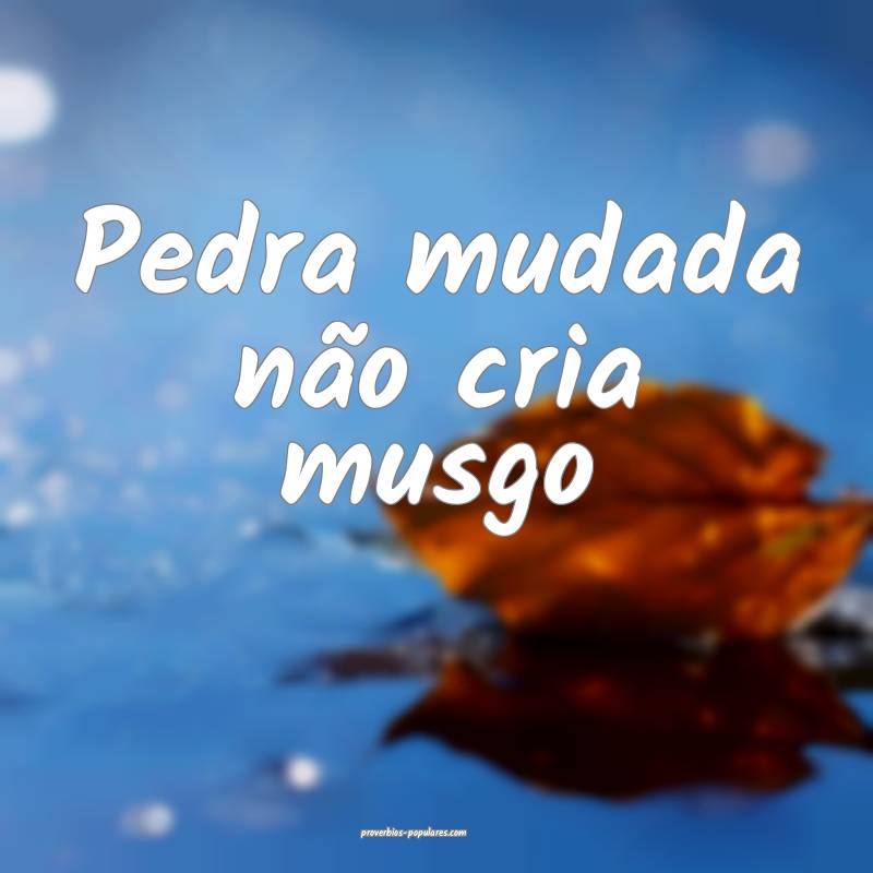 Pedra mudada não cria musgo...