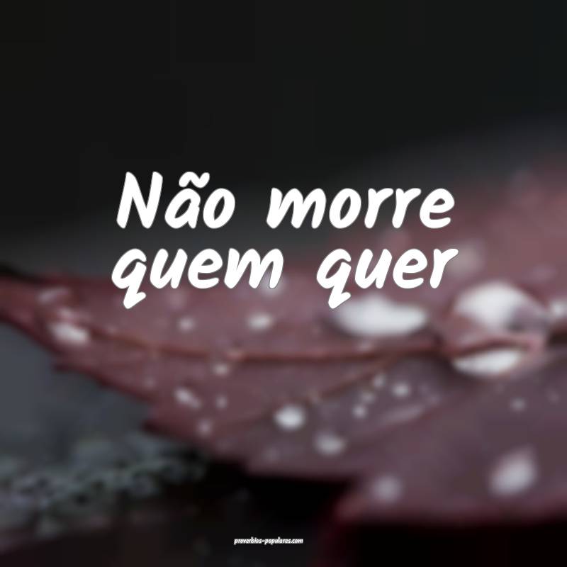 Não morre quem quer ...