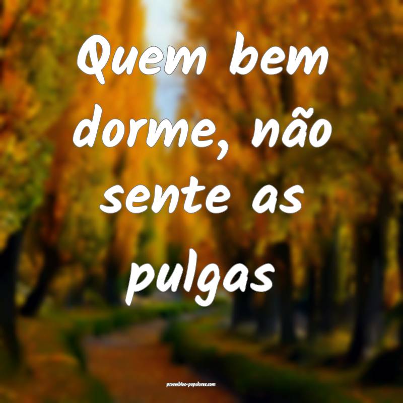 Quem bem dorme, não sente as pulgas ...
