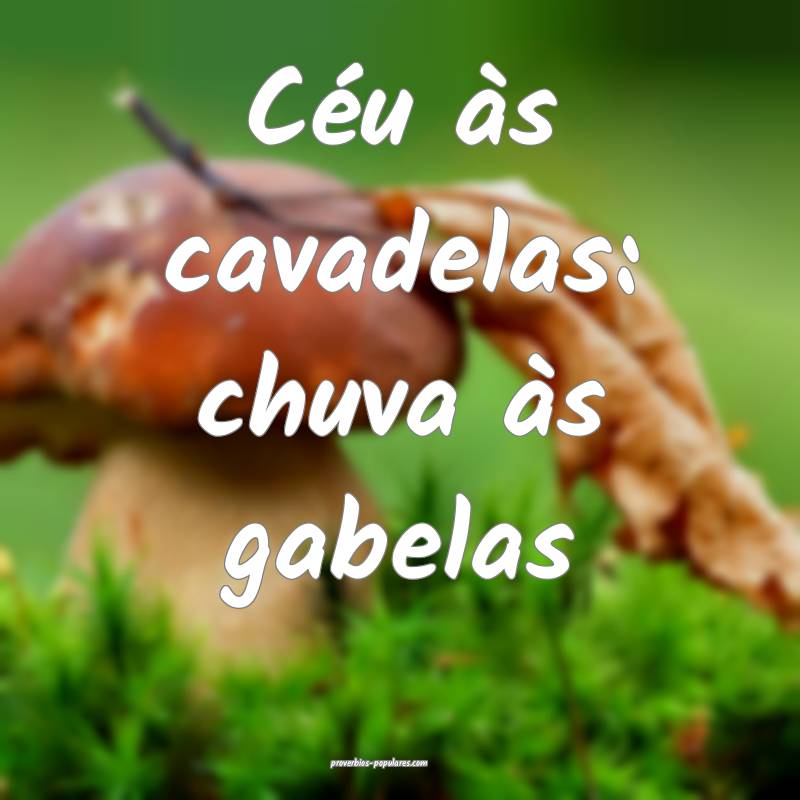 Céu às cavadelas: chuva às gabelas ...