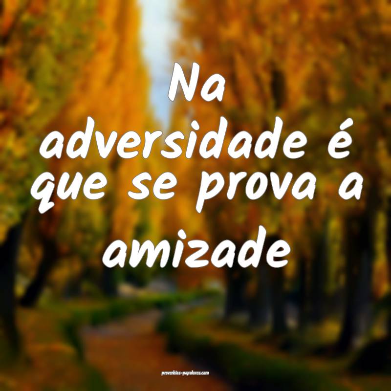 Na adversidade é que se prova a amizade 
...