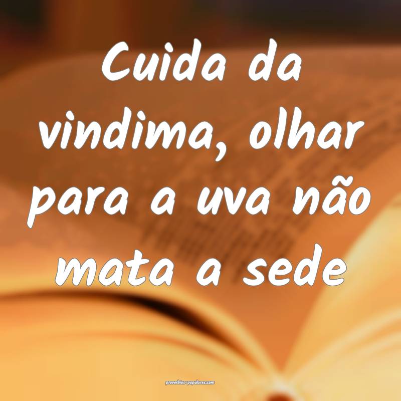 Cuida da vindima, olhar para a uva não mata a sede...