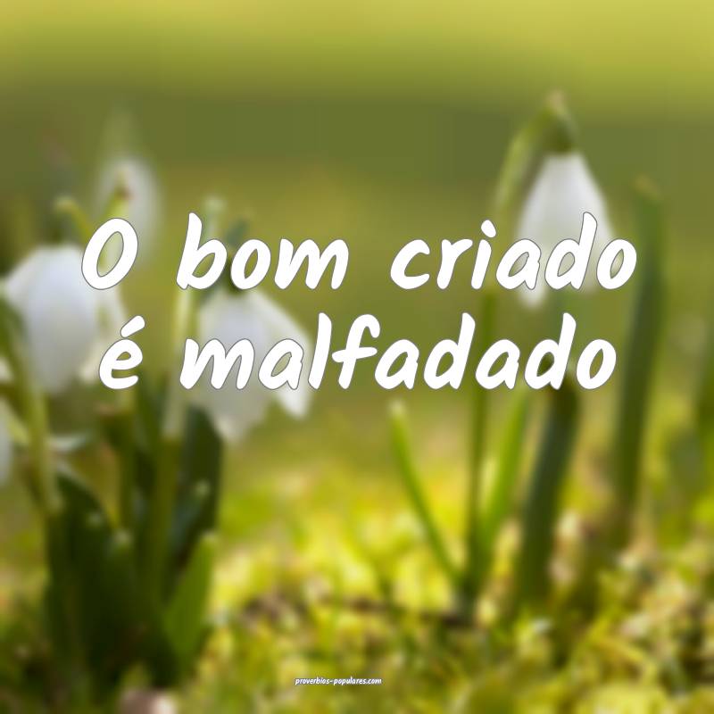 O bom criado é malfadado...