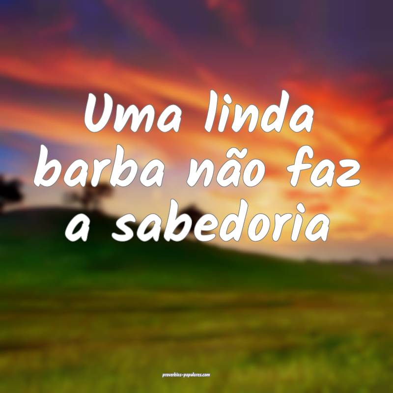 Uma linda barba não faz a sabedoria...