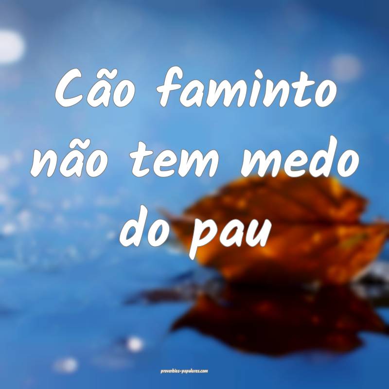 Cão faminto não tem medo do pau ...