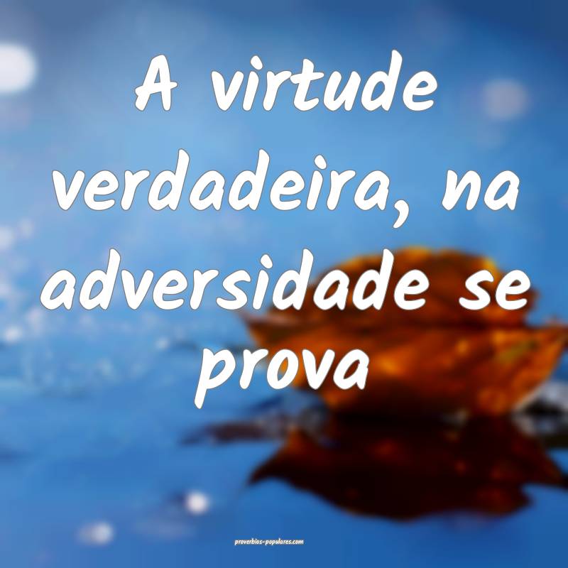 A virtude verdadeira, na adversidade se prova ...