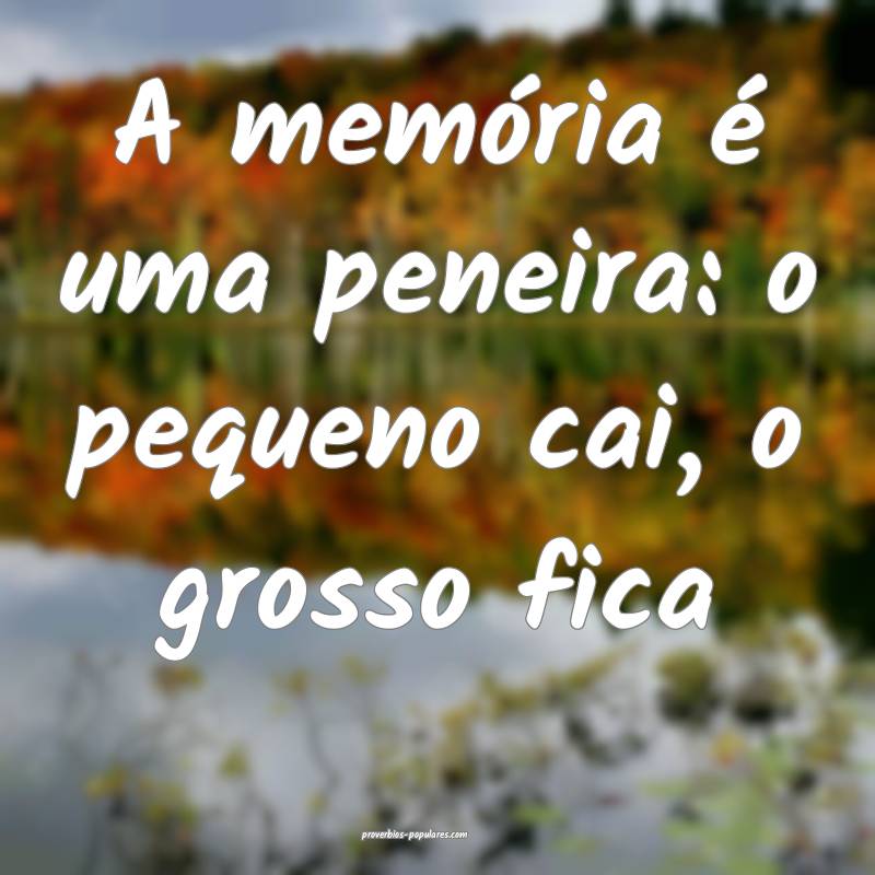 A memória é uma peneira: o pequeno cai, o grosso fica...