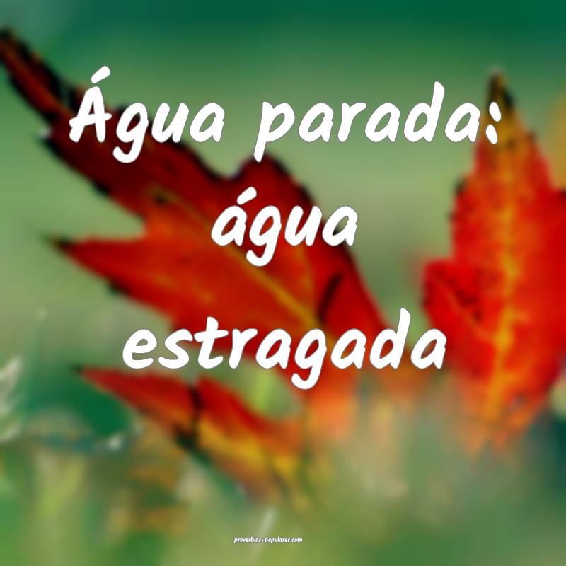 Água parada: água estragada...