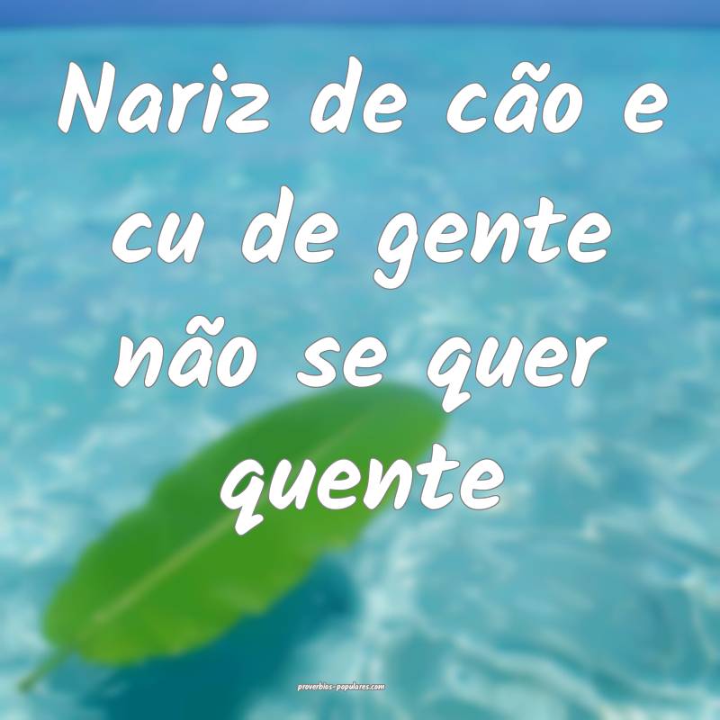 Nariz de cão e cu de gente não se quer quente 
...