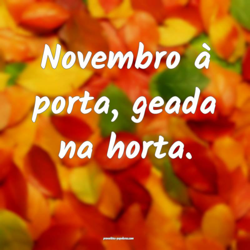 Novembro à porta, geada na horta....