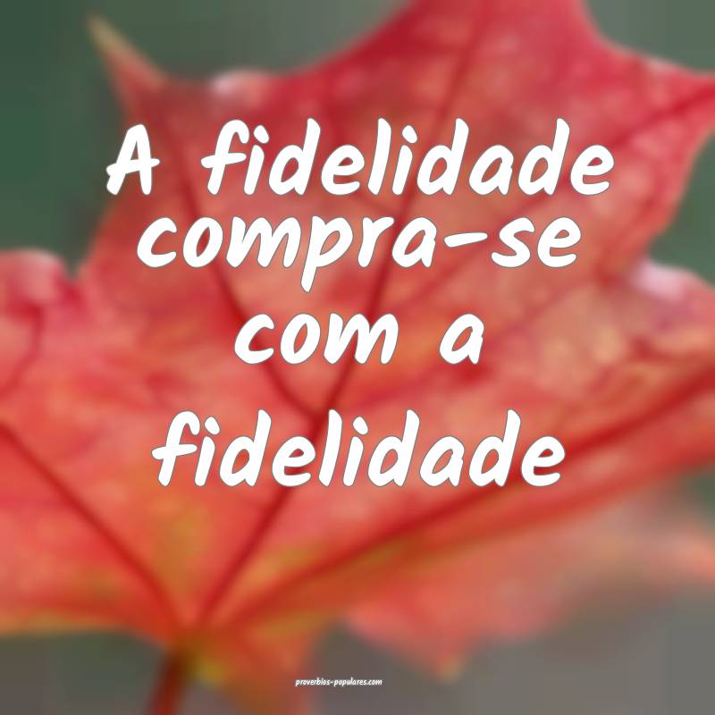 A fidelidade compra-se com a fidelidade...