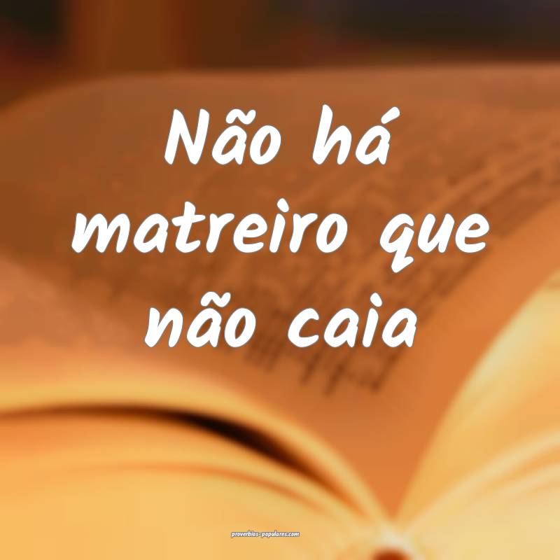 Não há matreiro que não caia...