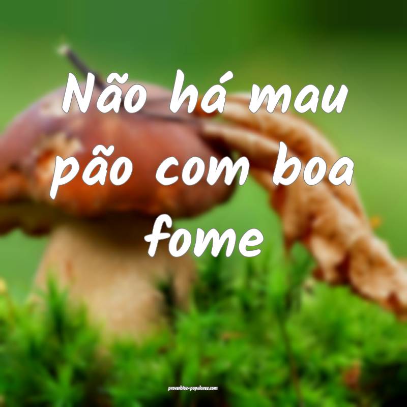 Não há mau pão com boa fome...