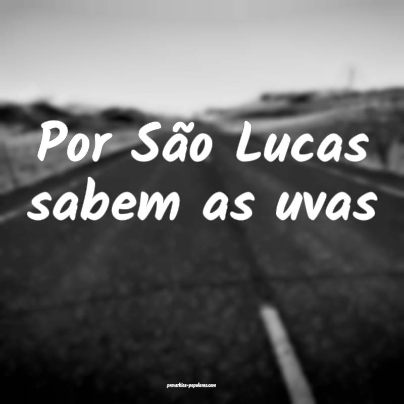 Por São Lucas sabem as uvas...