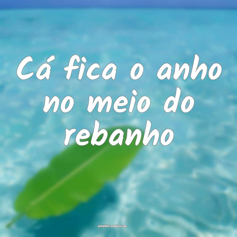 Cá fica o anho no meio do rebanho...