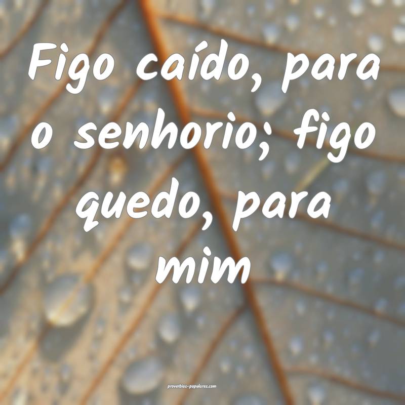 Figo caído, para o senhorio; figo quedo, para mim...