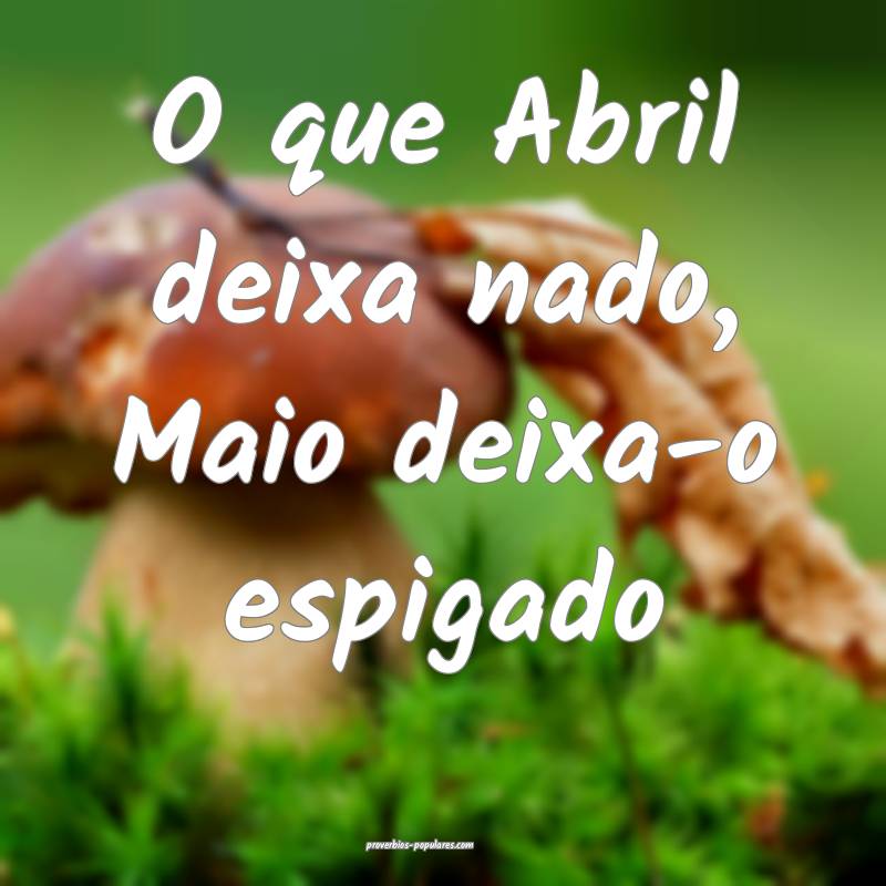 O que Abril deixa nado, Maio deixa-o espigado ...