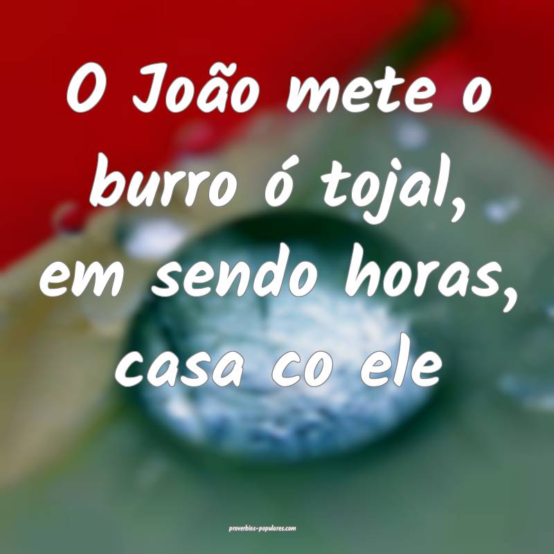 O João mete o burro ó tojal, em sendo horas, casa co ele...