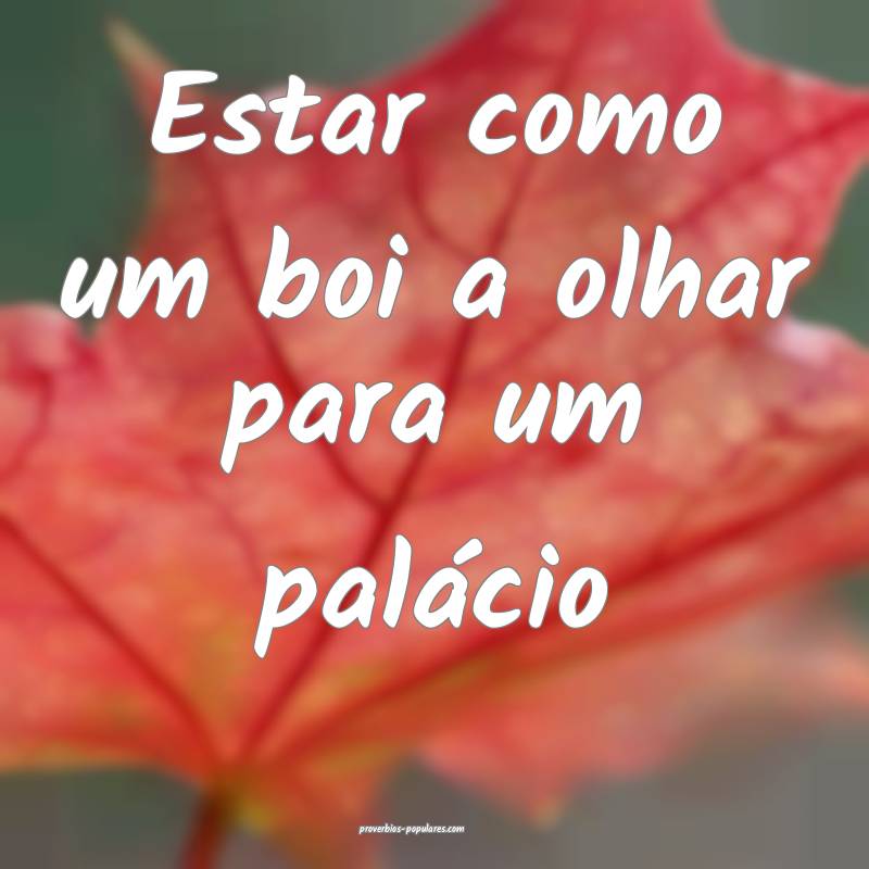 Estar como um boi a olhar para um palácio...