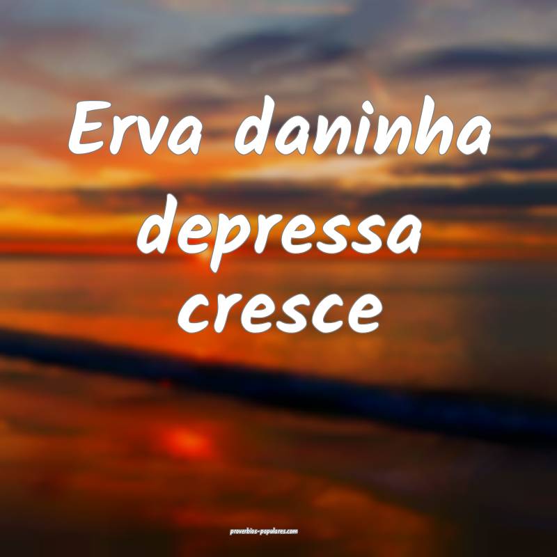 Erva daninha depressa cresce...