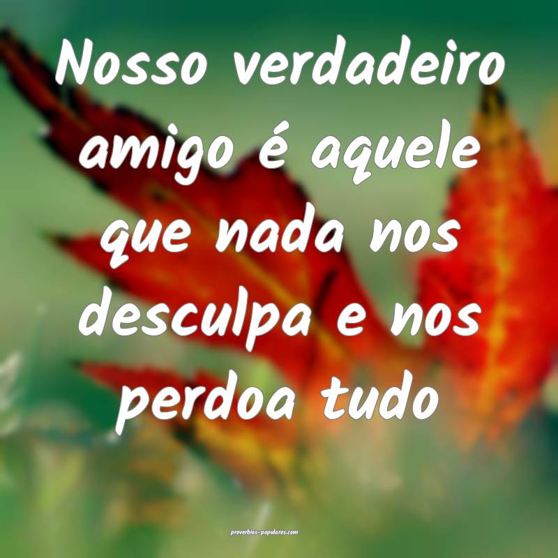 Nosso verdadeiro amigo é aquele que nada nos desculpa e nos perdoa tu...