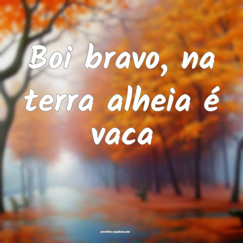 Boi bravo, na terra alheia é vaca...