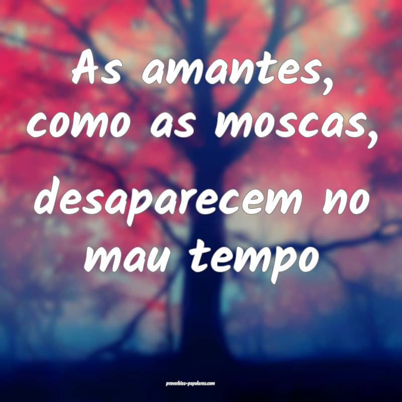 As amantes, como as moscas, desaparecem no mau tempo...