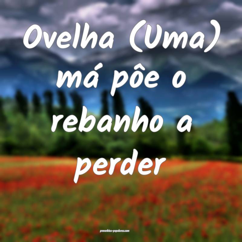 Ovelha (Uma) má pôe o rebanho a perder 
 ...