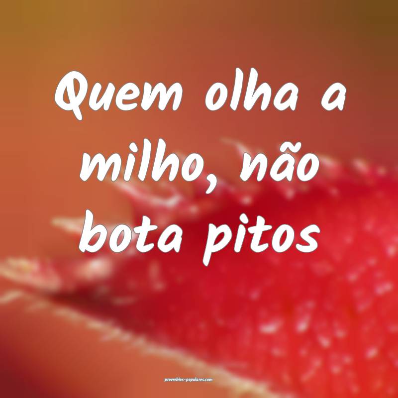 Quem olha a milho, não bota pitos ...