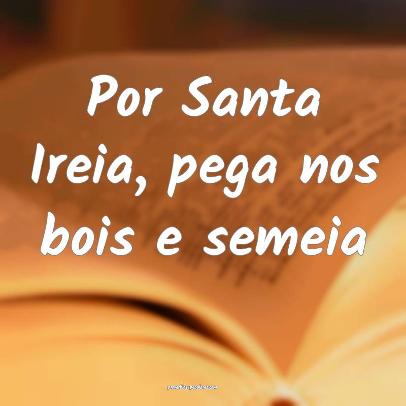 Por Santa Ireia, pega nos bois e semeia...