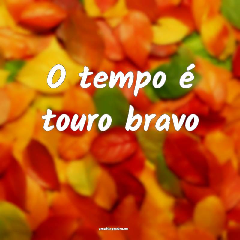 O tempo é touro bravo...