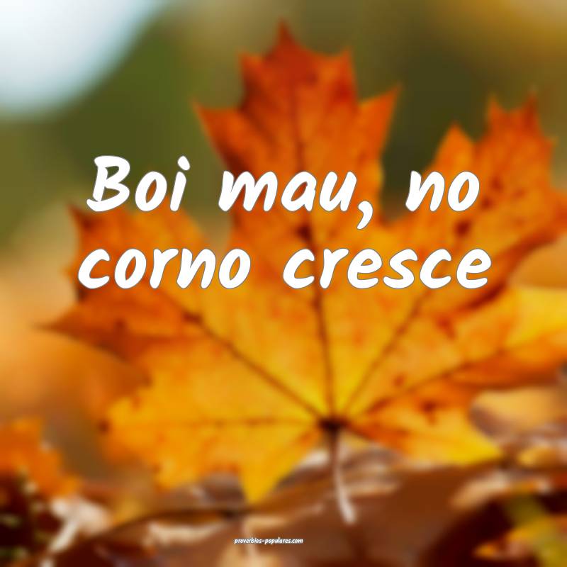 Boi mau, no corno cresce ...