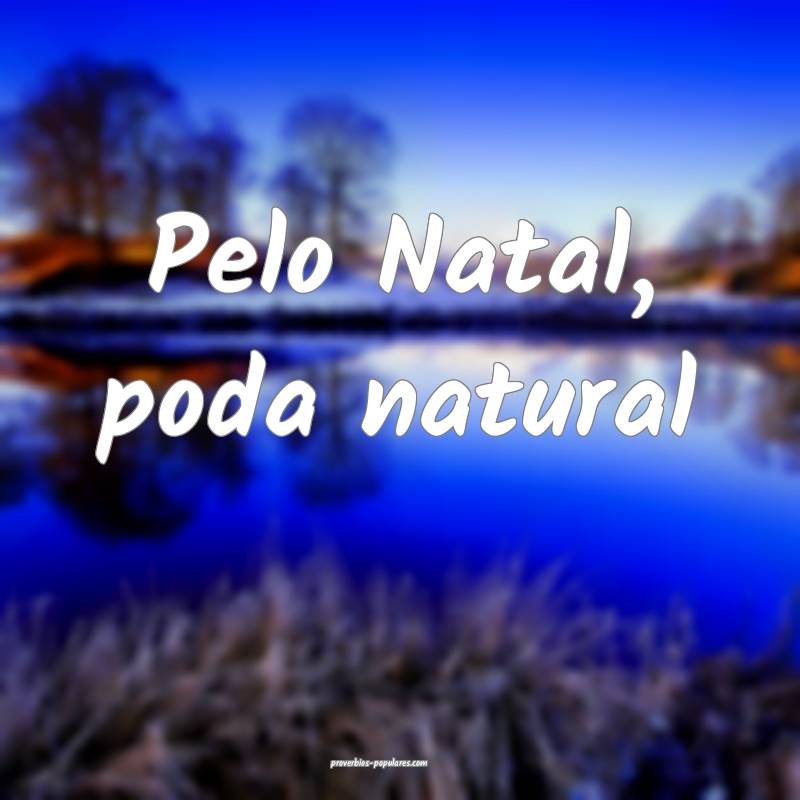 Pelo Natal, poda natural...