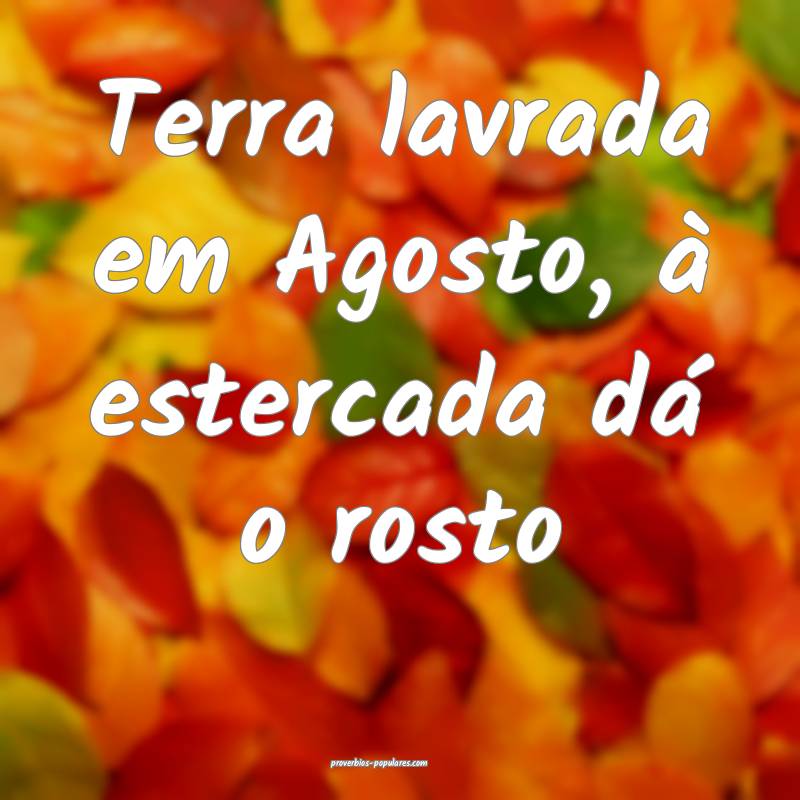 Terra lavrada em Agosto, à estercada dá o rosto...