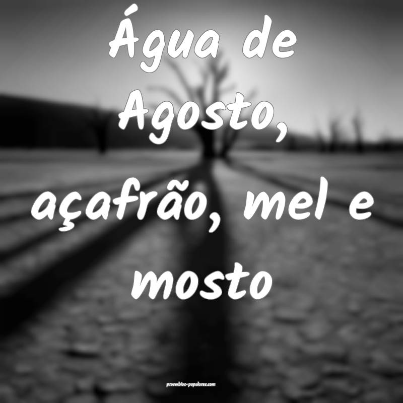 Água de Agosto, açafrão, mel e mosto...