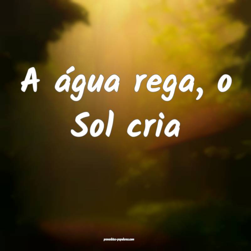 A água rega, o Sol cria...