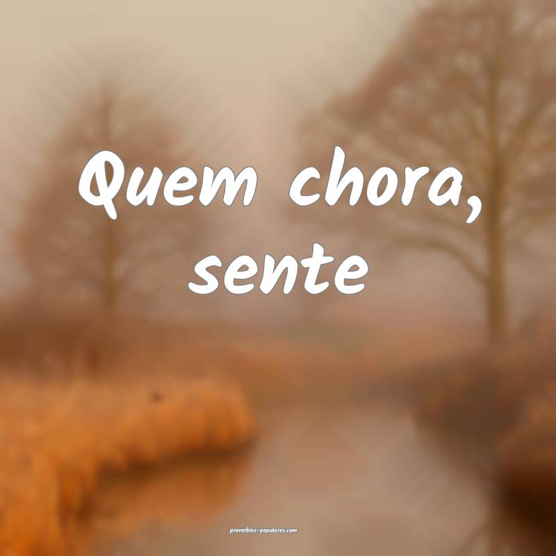 Quem chora, sente 
...