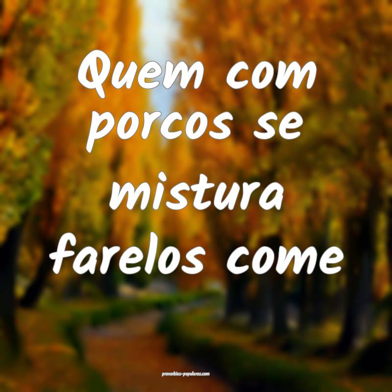 Quem com porcos se mistura farelos come 
...