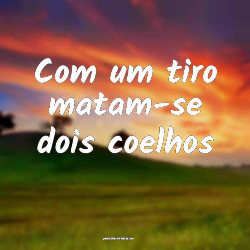 Com um tiro matam-se dois coelhos...